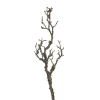 Discount Artast Pale Fleurs Individuelles