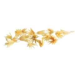 Fashion Article De Dispersion Naturel Fleur De Lampe Idées De Cadeaux