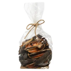 Online Article De Dispersion Naturel Seedpod Idées De Cadeaux