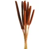 Discount Babla Aux Fleurs Sechees Fleurs Individuelles
