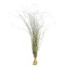 Cheap Botte D'Herbe Seche Fleurs Individuelles