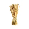 Outlet Bouquet De Fleurs Sechees Fleurs Individuelles
