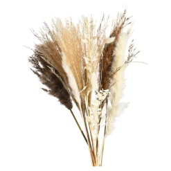 Flash Sale Bouquet De Fleurs Sechees Idées De Cadeaux
