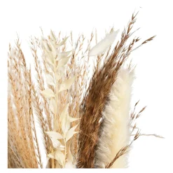 Flash Sale Bouquet De Fleurs Sechees Idées De Cadeaux