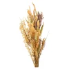 Flash Sale Bouquet De Fleurs Sechees Dried Flowers Idées De Cadeaux