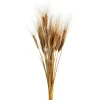 Shop Bouquet De Fleurs Sechees Epis Fleurs Individuelles