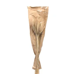 Discount Bouquet De Fleurs Sechees Epis Fleurs Individuelles
