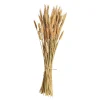 Cheap Bouquet De Fleurs Sechees Epis Fleurs Individuelles