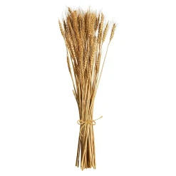 Cheap Bouquet De Fleurs Sechees Epis Fleurs Individuelles