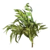 Flash Sale Bouquet De Fleurs Sechees Eucalyptus Fleurs Individuelles