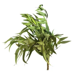 Flash Sale Bouquet De Fleurs Sechees Eucalyptus Fleurs Individuelles