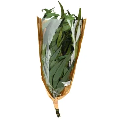 Flash Sale Bouquet De Fleurs Sechees Eucalyptus Fleurs Individuelles