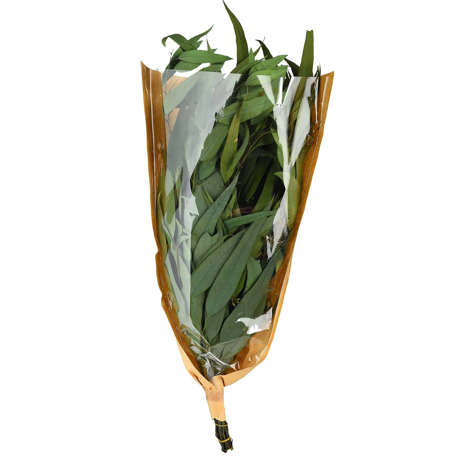 Flash Sale Bouquet De Fleurs Sechees Eucalyptus Fleurs Individuelles