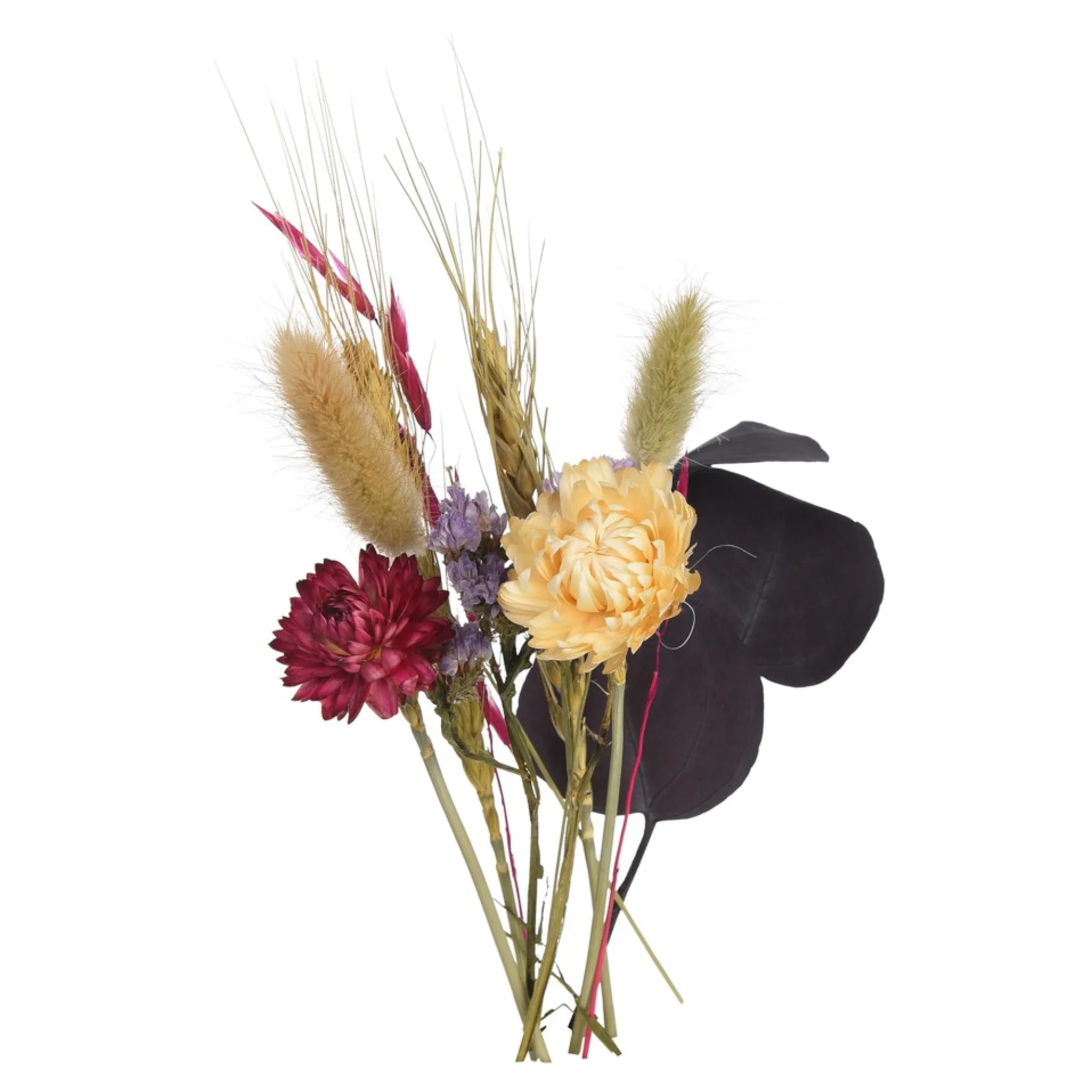 Hot Bouquet De Fleurs Sechees Flora Idées De Cadeaux