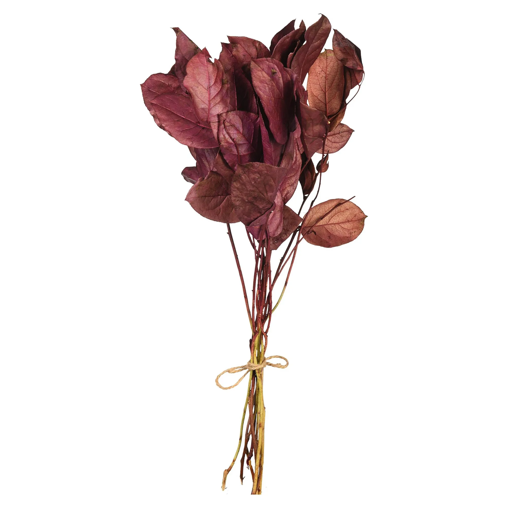 Store Bouquet De Fleurs Sechees Leaves Fleurs Individuelles