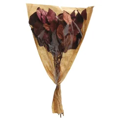 Store Bouquet De Fleurs Sechees Leaves Fleurs Individuelles