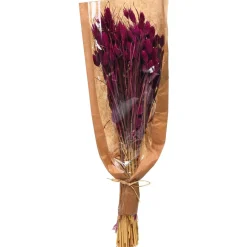 Sale Bouquet De Fleurs Sechees Phalaris Fleurs Individuelles
