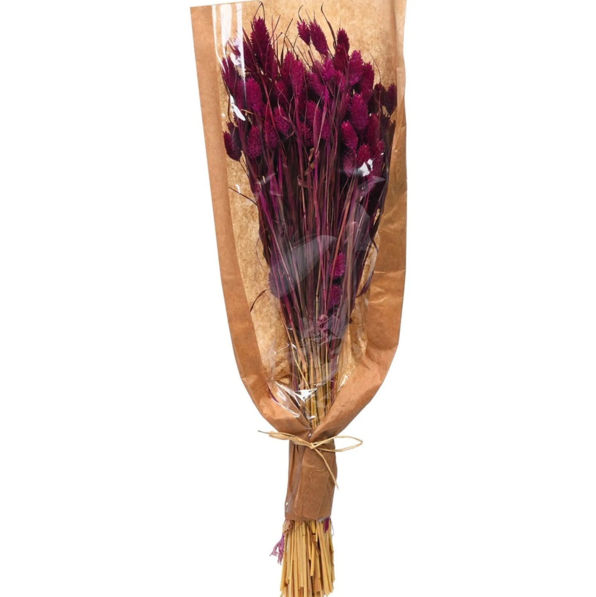 Sale Bouquet De Fleurs Sechees Phalaris Fleurs Individuelles