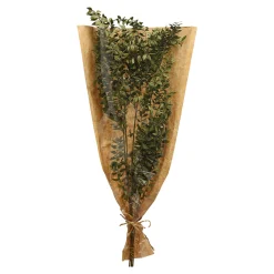 Store Bouquet De Fleurs Sechees Ruscus Fleurs Individuelles