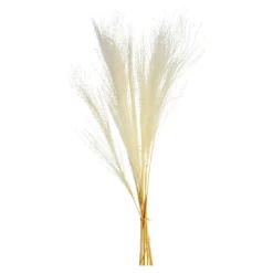 Outlet Bouquet De Fleurs Sechees Scintillantes Miscanthus Idées De Cadeaux