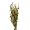 Best Sale Bouquet De Fleurs Sechees Setaria Fleurs Individuelles