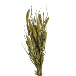 Best Sale Bouquet De Fleurs Sechees Setaria Fleurs Individuelles