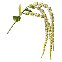 Hot Branche Artistique Amaranthus Fleurs Individuelles