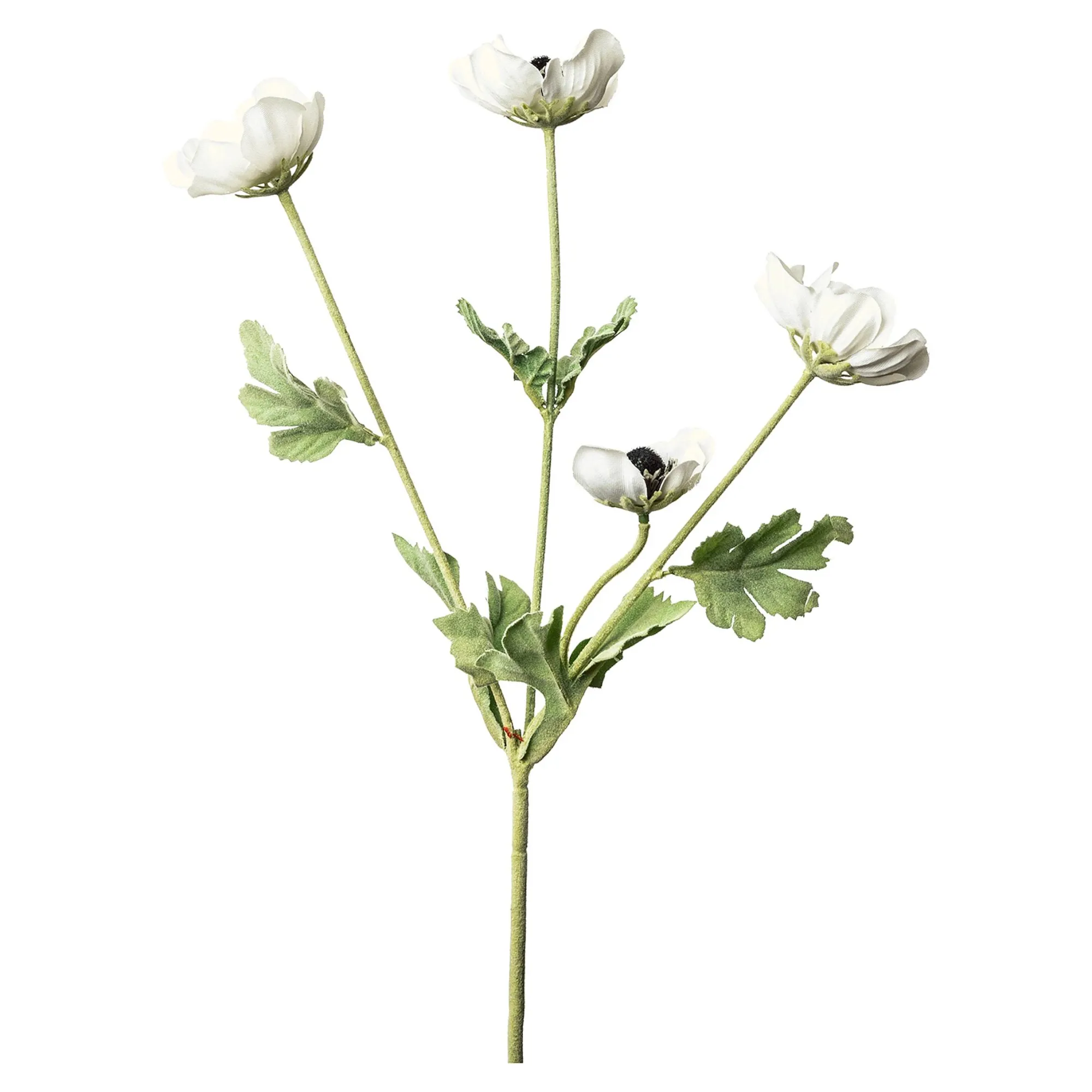 Hot Branche Artistique Anemone Fleurs Individuelles
