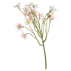 Best Sale Branche Artistique Aster De Plage Fleurs Individuelles