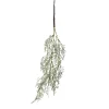 Store Branche Artistique Astilbe Fleurs Individuelles