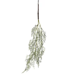 Store Branche Artistique Astilbe Fleurs Individuelles