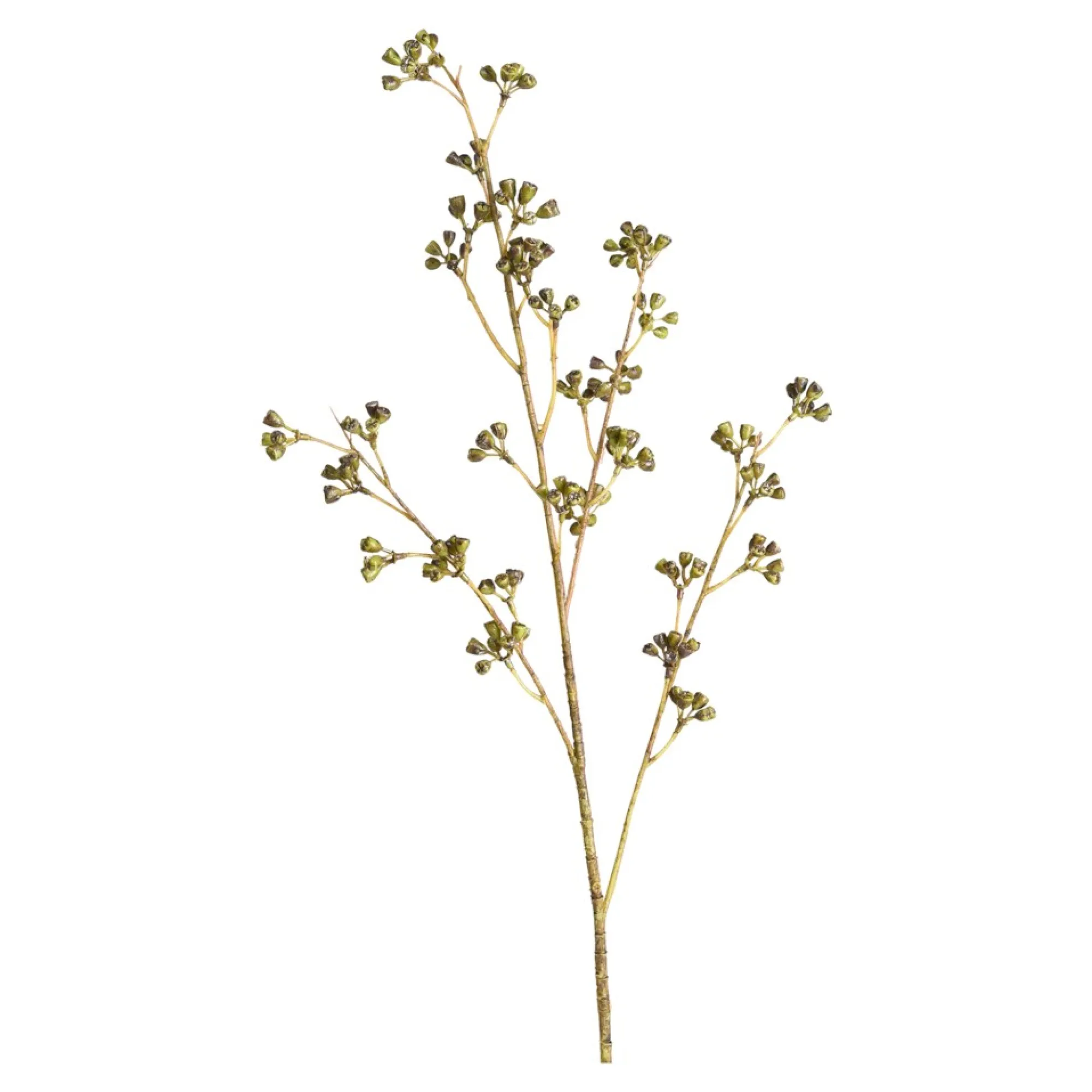 Best Branche Artistique Bourgeon D'Eucalyptus Fleurs Individuelles