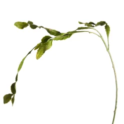 Hot Branche Artistique Cactus Idées De Cadeaux