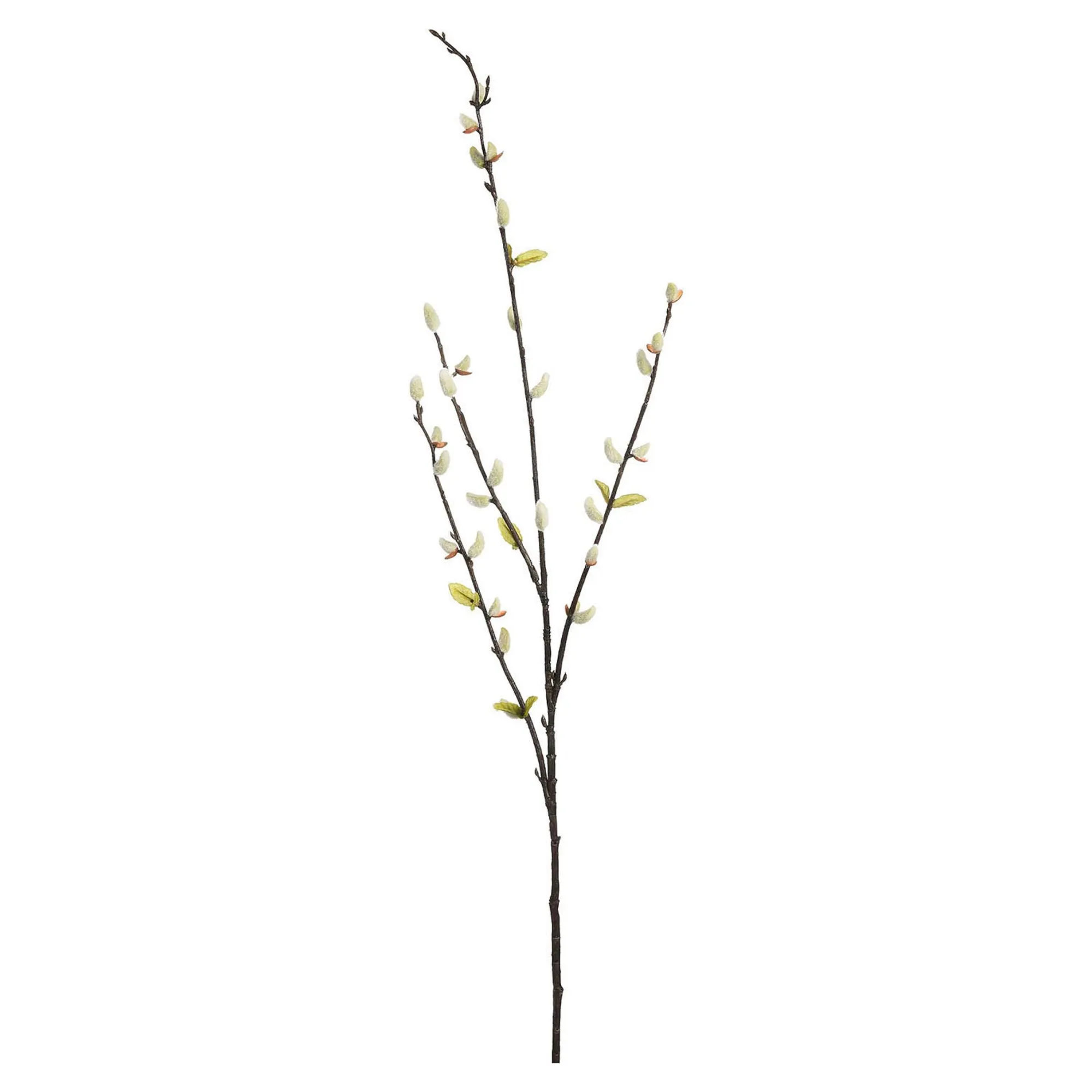 Store Branche Artistique Chaton De Palmier Avec Feuilles Fleurs Individuelles