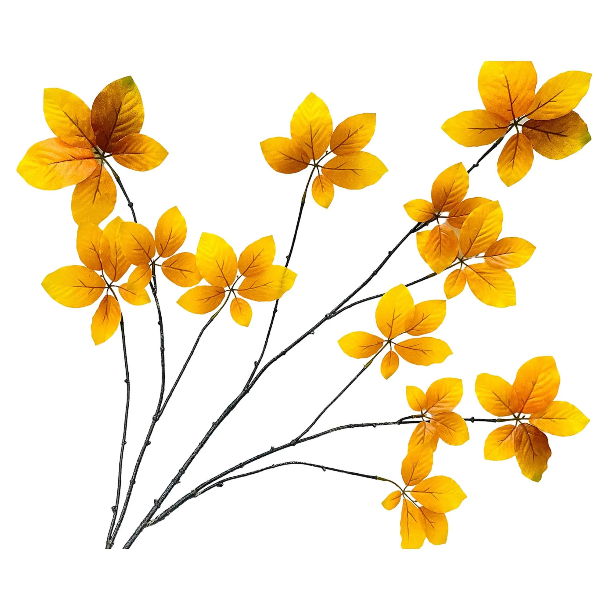 Shop Branche Artistique Elke Fleurs Individuelles