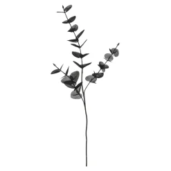 Best Branche Artistique Eucalyptus Fleurs Individuelles