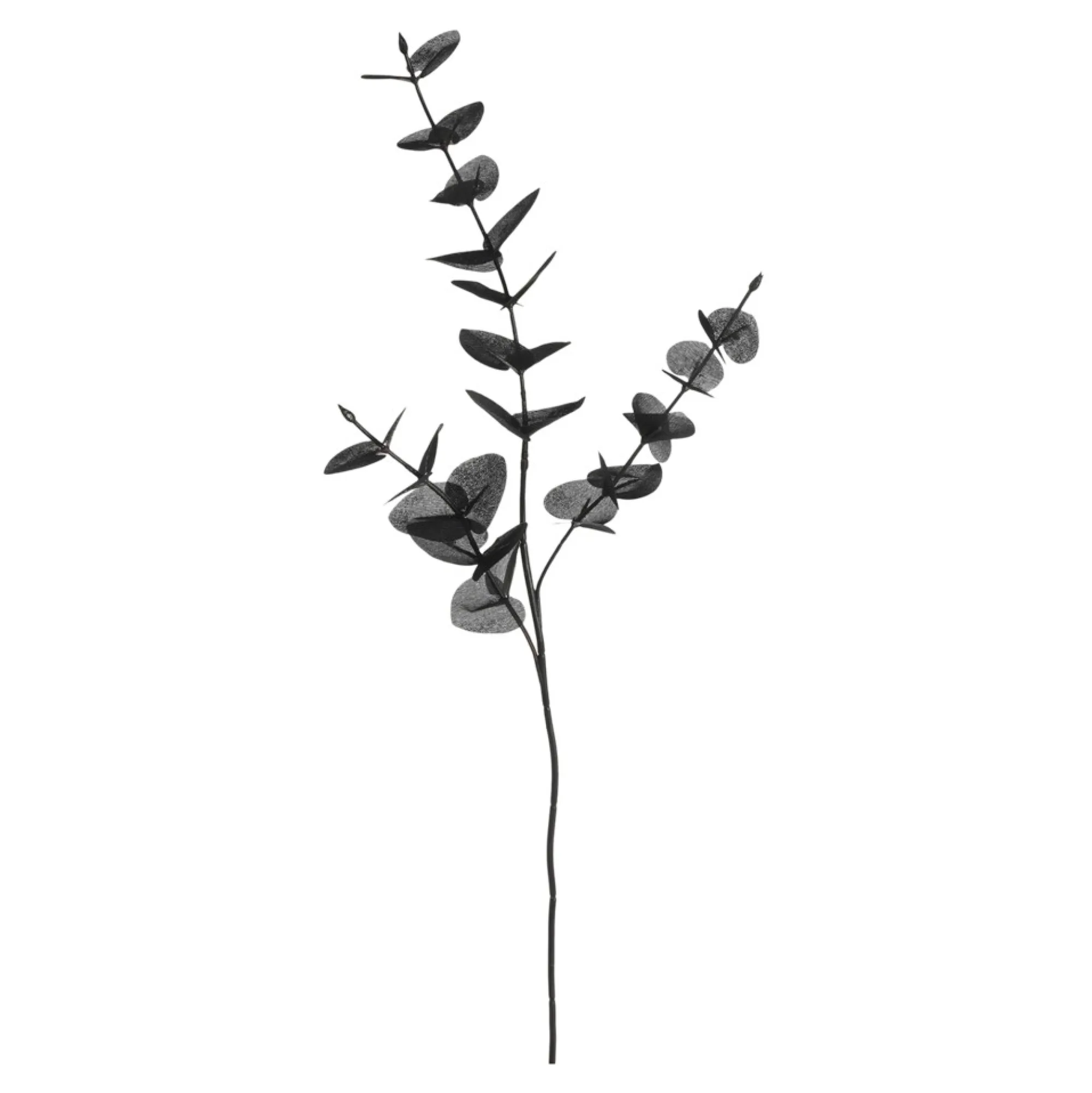 Best Branche Artistique Eucalyptus Fleurs Individuelles