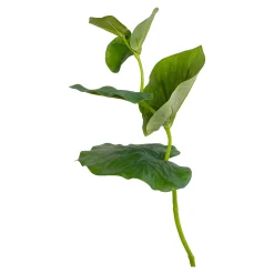 Online Branche Artistique Eucalyptus Fleurs Individuelles