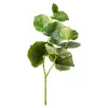 Store Branche Artistique Eucalyptus Fleurs Individuelles