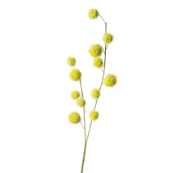 Online Branche Artistique Fruit Fleurs Individuelles