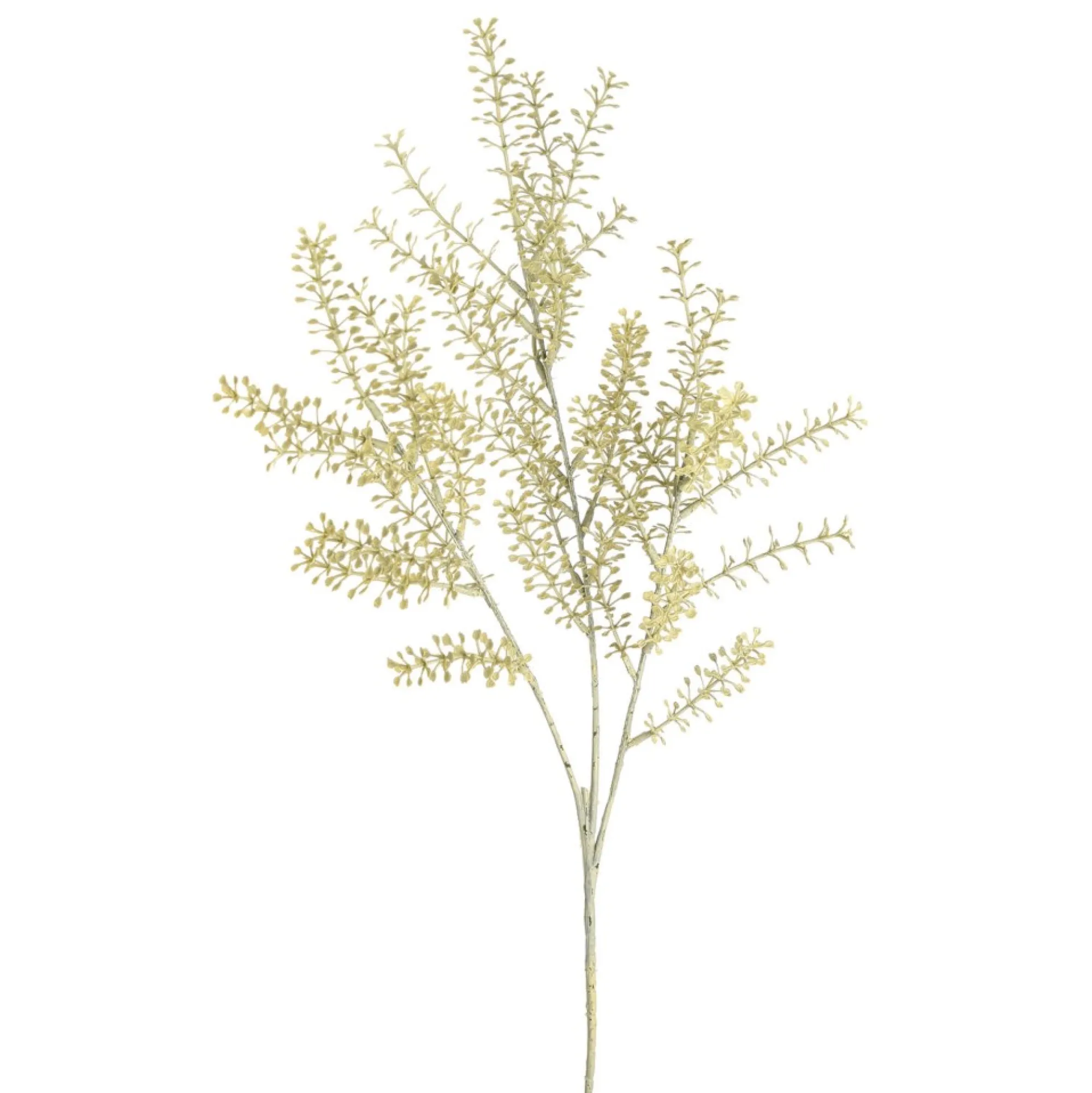 Best Branche Artistique Herbes Fleurs Individuelles
