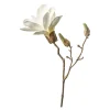 Flash Sale Branche Artistique Magnolia Fleurs Individuelles