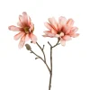 Best Branche Artistique Magnolia Fleurs Individuelles