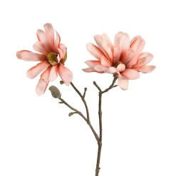 Best Branche Artistique Magnolia Fleurs Individuelles