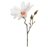 Clearance Branche Artistique Magnolia Fleurs Individuelles