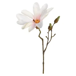 Clearance Branche Artistique Magnolia Fleurs Individuelles