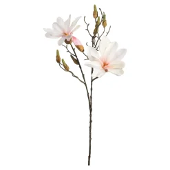 Fashion Branche Artistique Magnolia Dore Fleurs Individuelles