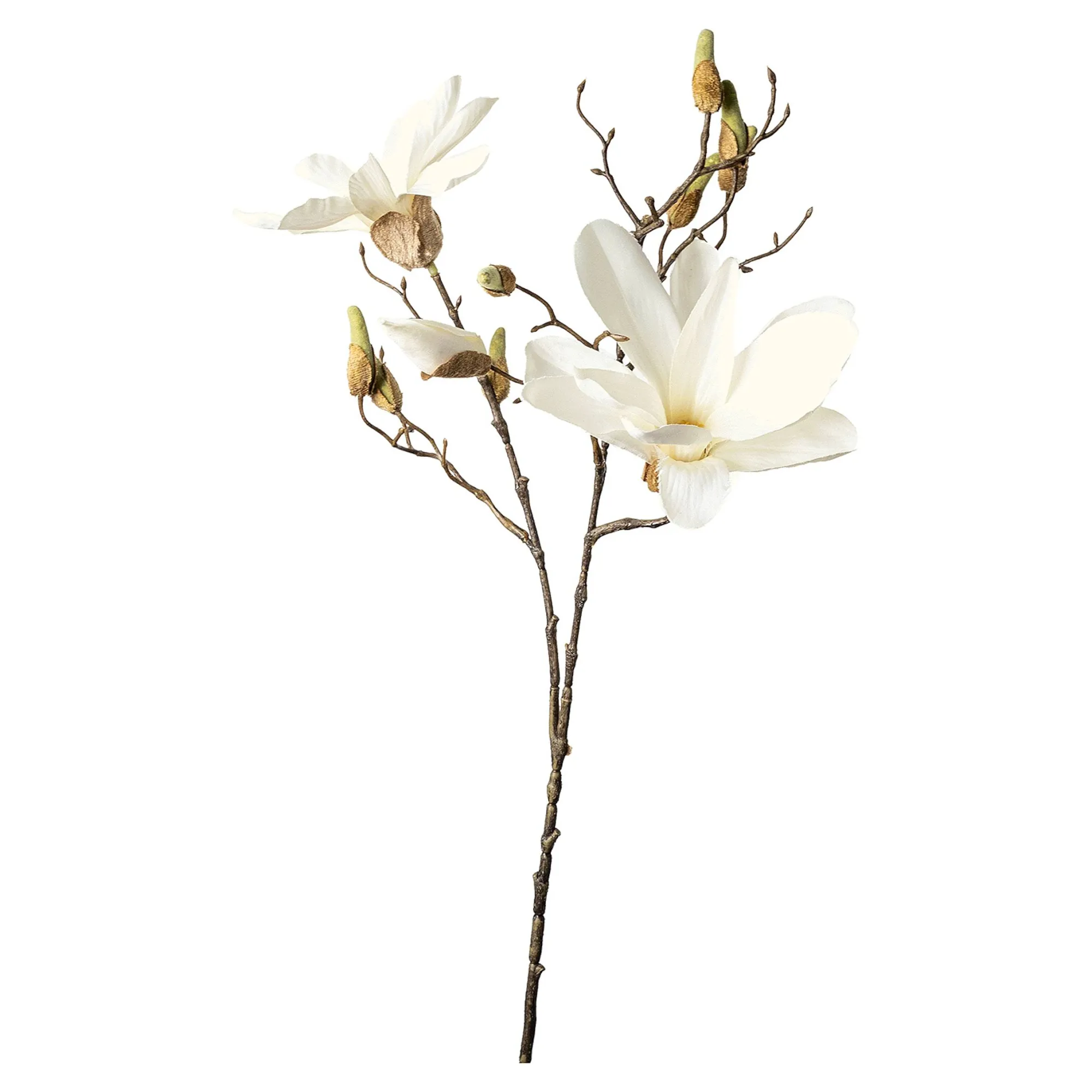 Cheap Branche Artistique Magnolia Fleurs Individuelles