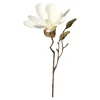 Online Branche Artistique Magnolia Fleurs Individuelles
