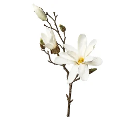 Outlet Branche Artistique Magnolia Fleurs Individuelles